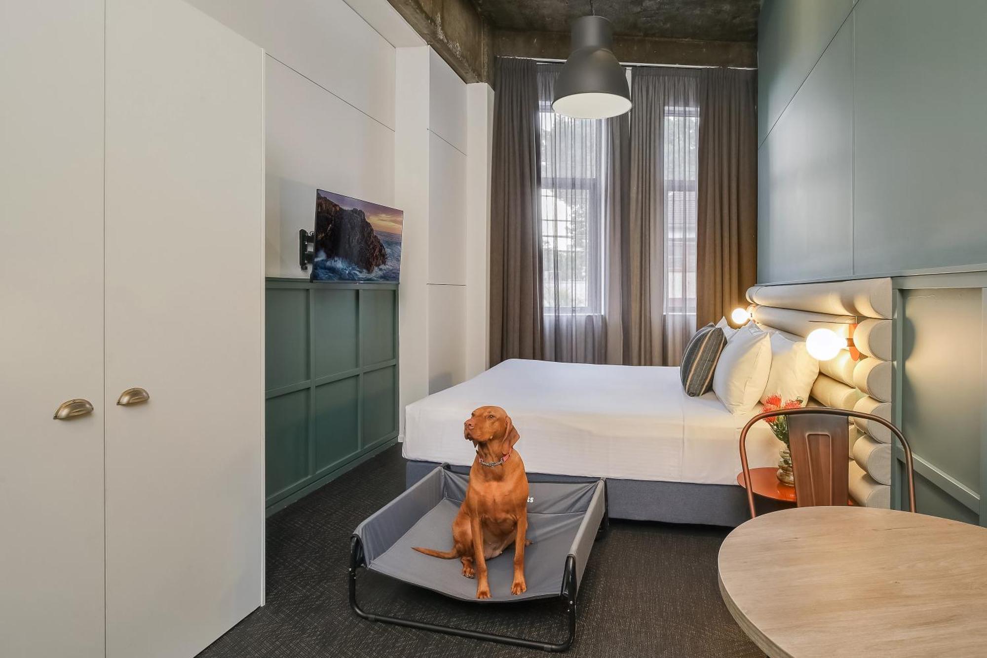 The Urban Newtown Hotel Sydney Luaran gambar