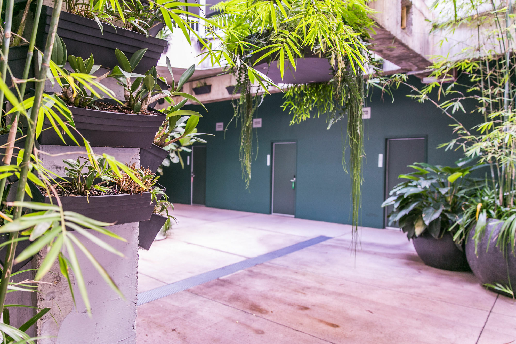 The Urban Newtown Hotel Sydney Luaran gambar